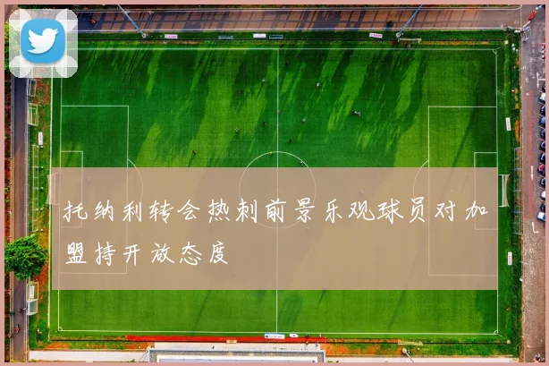托纳利转会热刺前景乐观球员对加盟持开放态度
