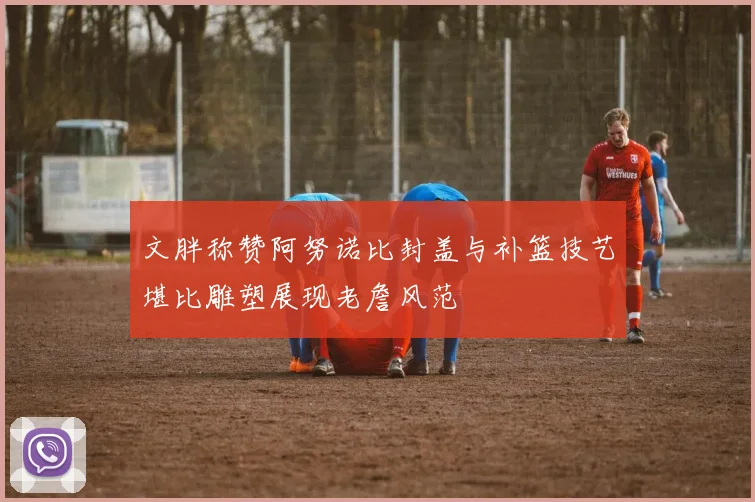 文胖称赞阿努诺比封盖与补篮技艺堪比雕塑展现老詹风范