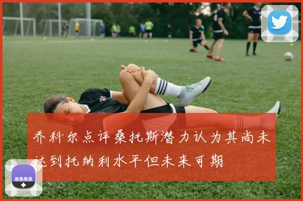 乔科尔点评桑托斯潜力认为其尚未达到托纳利水平但未来可期