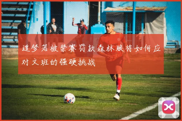 追梦若被禁赛罚款森林狼将如何应对文班的强硬挑战